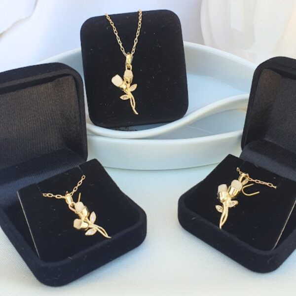 3 Pingentes Dente Flor Dupla com Correntinha + Porta Joia